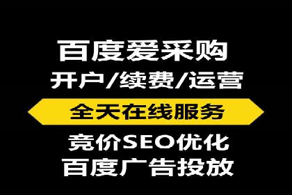 SEM托管服务案例：优化策略与效果展示